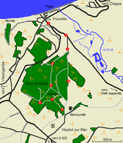 Bois d'Hautot