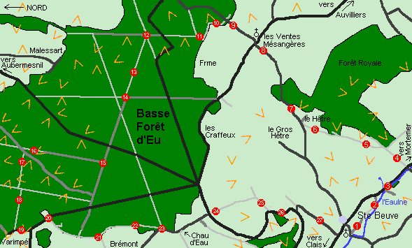 Entre Eaulne et Forêt (1)