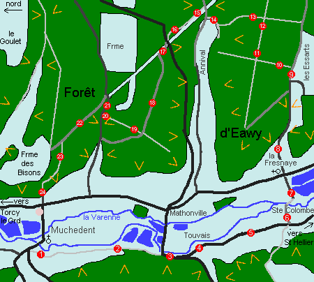 Varenne, Forêt d'Eawy (1)