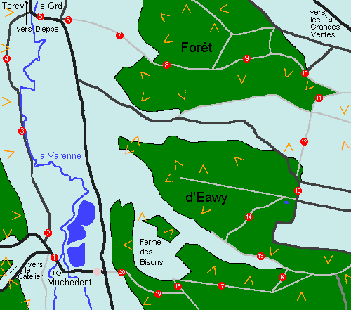 Varenne, Forêt d’Eawy (2)