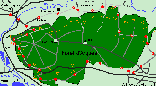 Forêt d'Arques (5)
