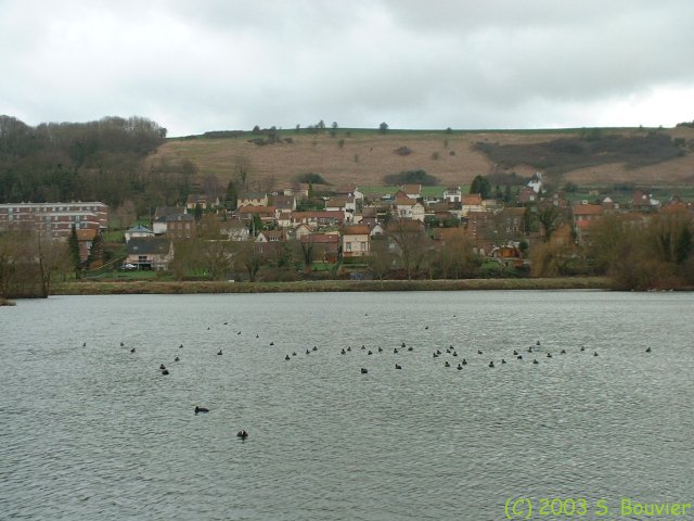 Arques la Bataille (1)