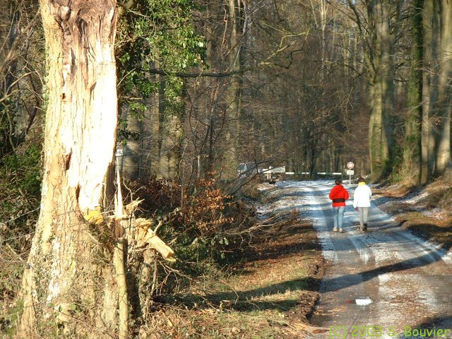 Massif des Nappes (1)