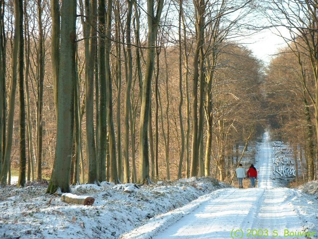 Massif des Nappes (2)