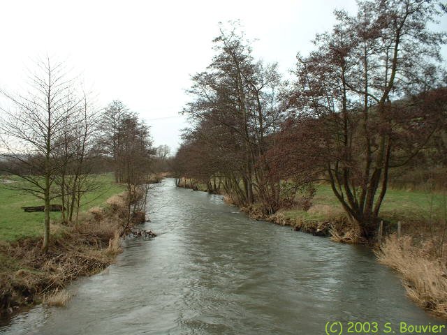 La Béthune (1)