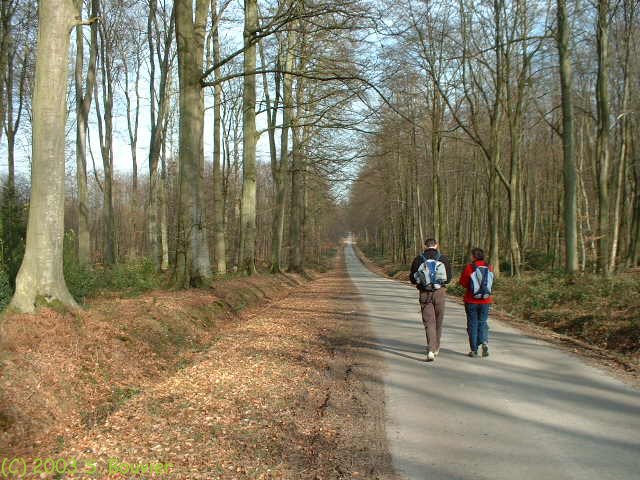 Eawy (2)