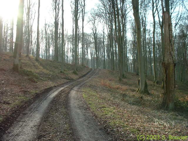 Eawy (6)