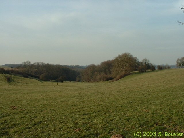 St Nicolas d'Aliermont