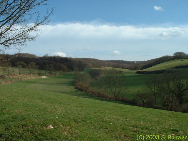 Torcy le Petit (1)