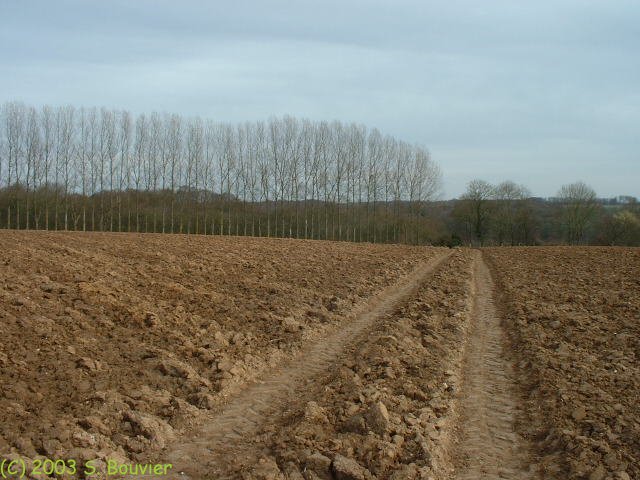 Sauchay le Haut