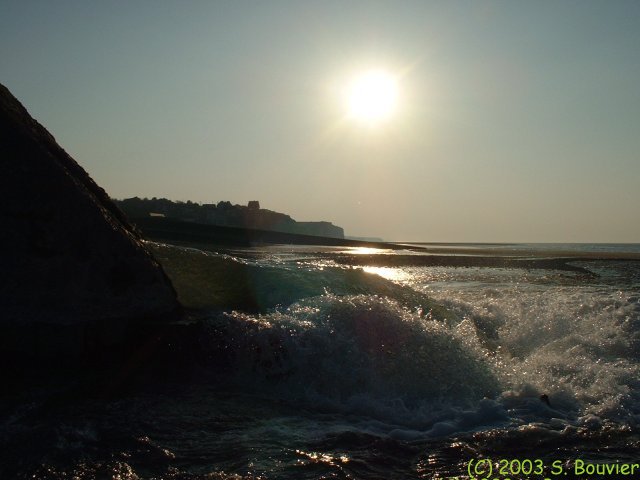 Saâne (Buse 1)