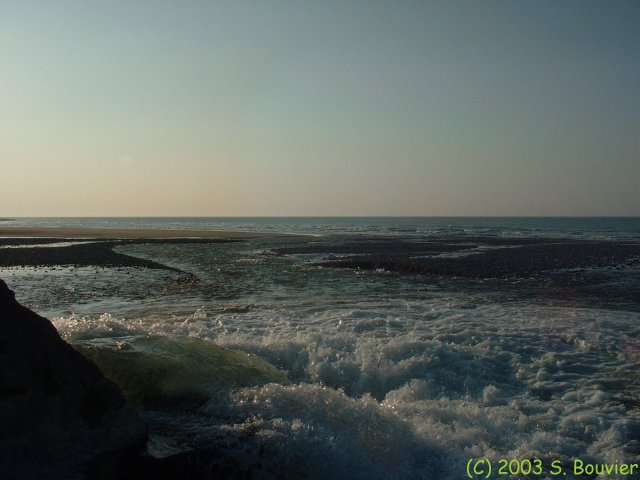 Saâne (Buse 2)