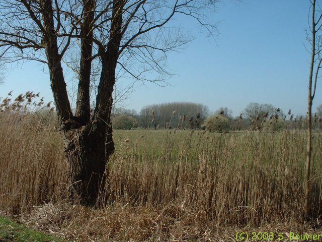 St Martin de Boscherville (Les Acres)