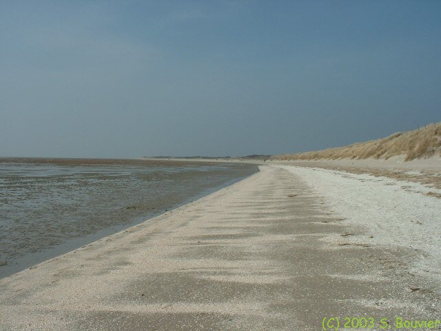 Marquenterre (la Côte)
