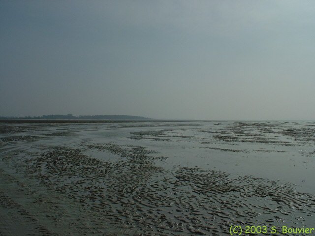 Baie de Somme (La Maye)