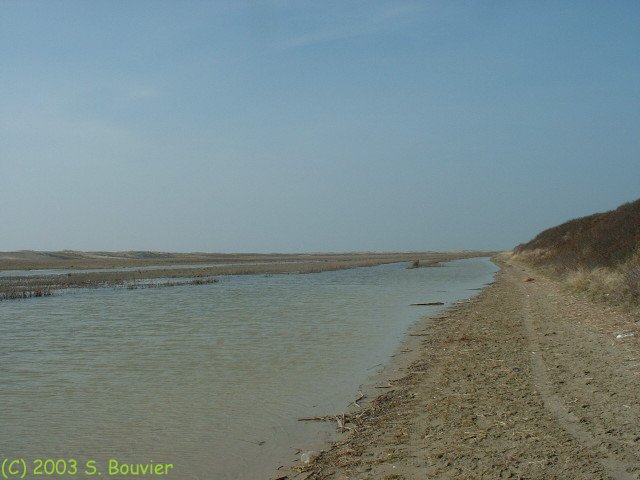 Baie de Somme (l'Iette)