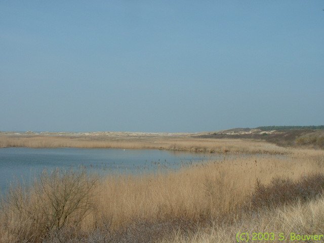 Baie de Somme (Anse Bidard 1)