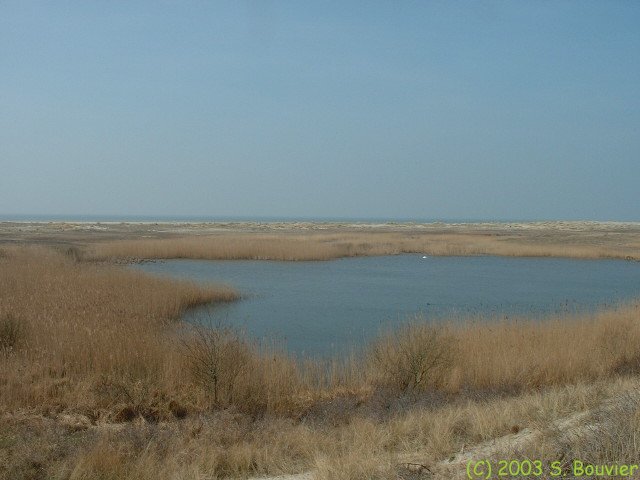 Baie de Somme (Anse Bidard 2)