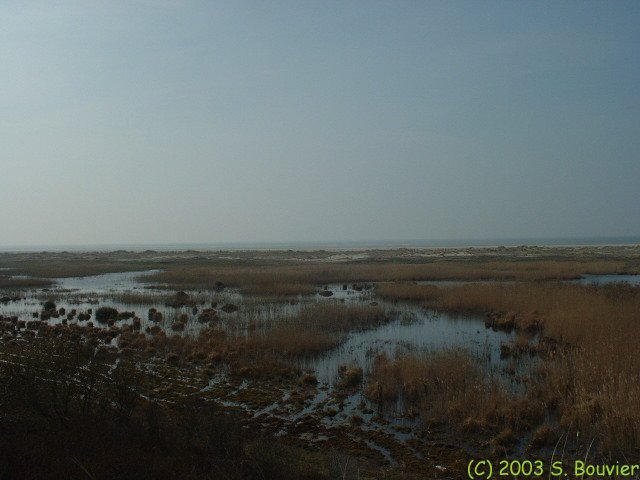 Baie de Somme (Anse Bidard 3)