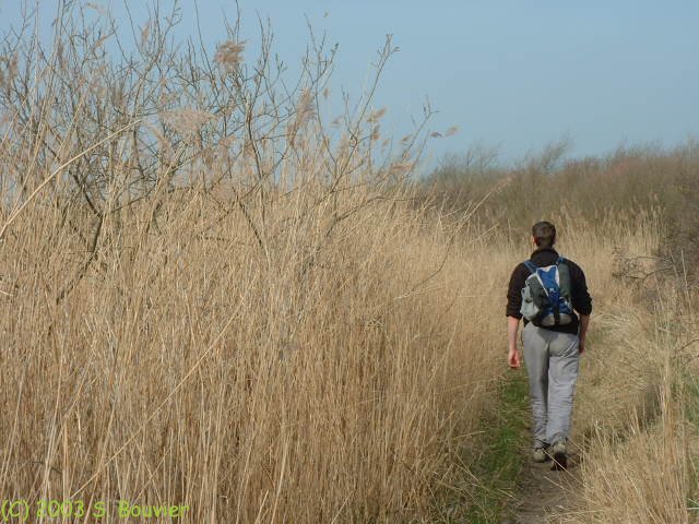 Baie de Somme (Anse Bidard 4)