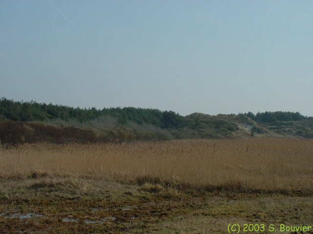 Baie de Somme (Anse Bidard 9)