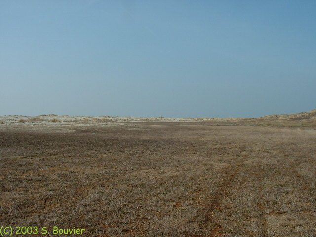 Baie de Somme (Nouvelle Pointe 1)