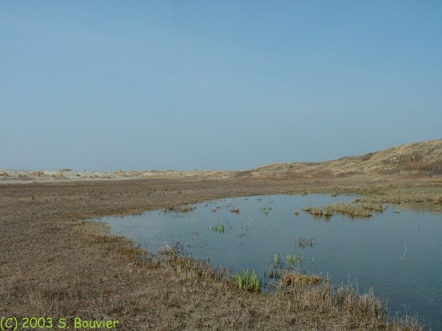Baie de Somme (Nouvelle Pointe 2)