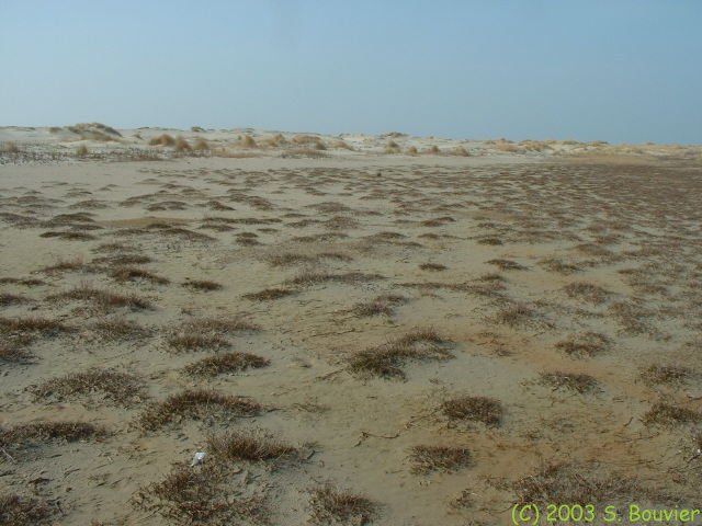 Baie de Somme (Nouvelle Pointe 3)