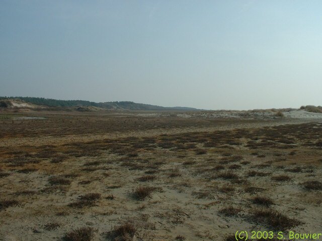  Baie de Somme (Nouvelle Pointe 4)