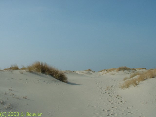 Passage entre les dunes (1)