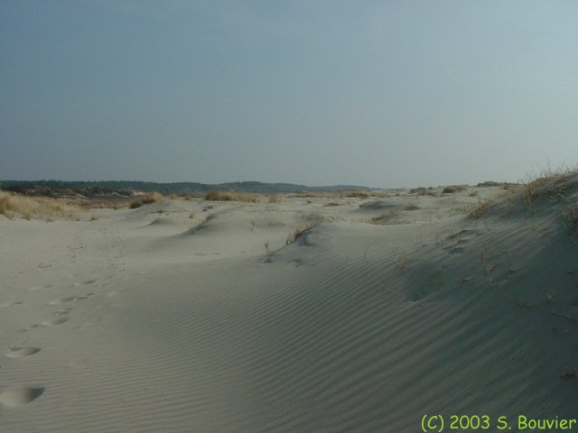 Passage entre les dunes (2)