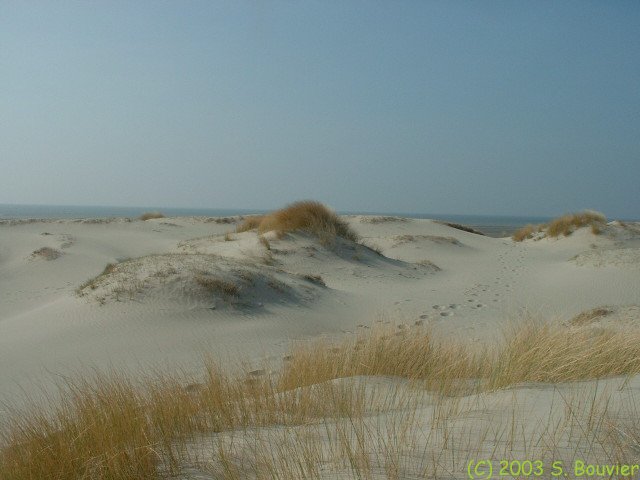 Passage entre les dunes (3)