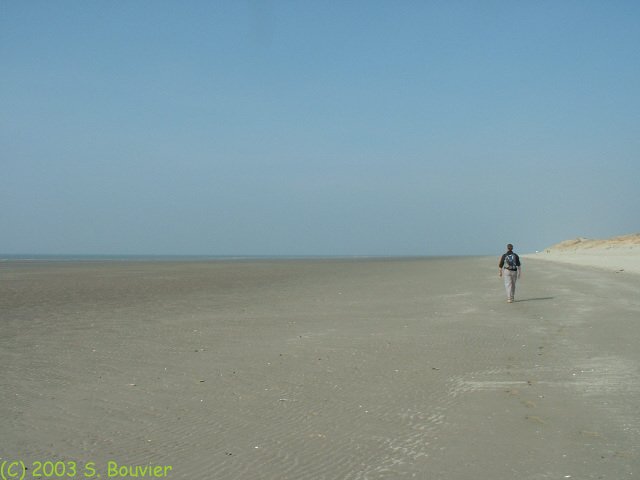 Marche sur le littoral