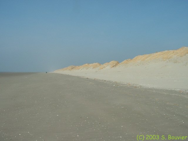 Littoral (cordon dunaire)