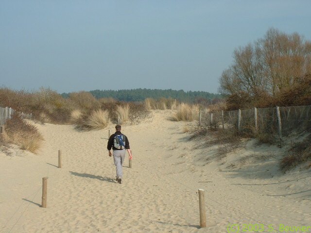 Chemin d'accès à la Mer (1)