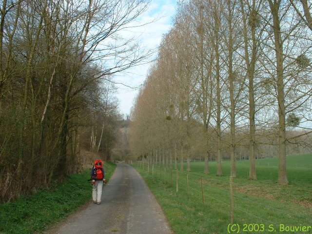 Fonds de la Vauvaye (1)