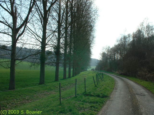 Fonds de la Vauvaye (3)