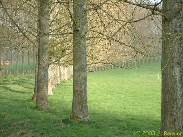 Fonds de la Vauvaye (4)