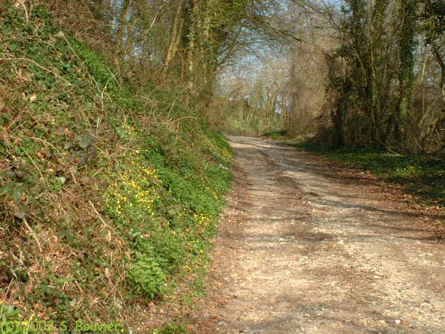 Côtes de Glicourt (2)