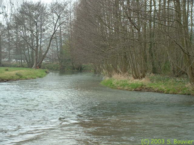 Eaulne (1)