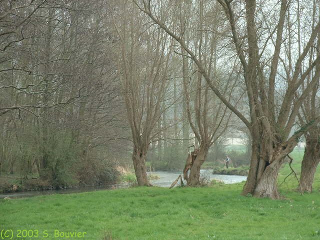 Eaulne (Pêcheur)
