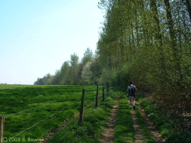 Chasse-Marée