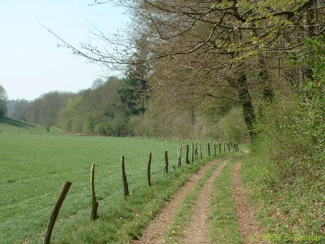 Chaussée (Fond)