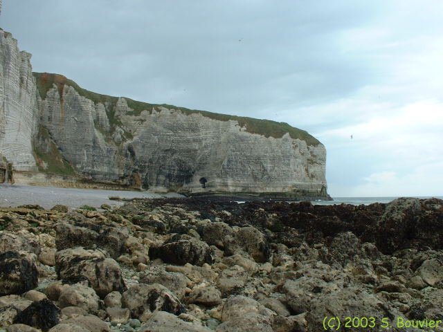 Etretat (Courtine)