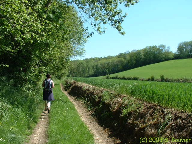 Torcy le Petit (Val du Bos 1)