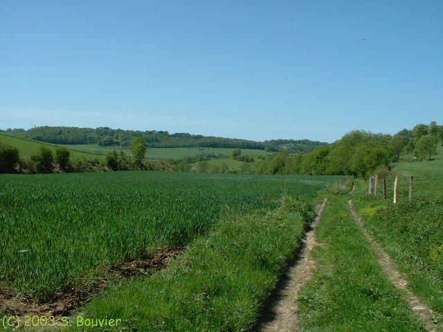 Torcy le Petit (Val du Bos 2)
