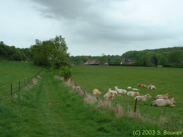 Chasse-Marée