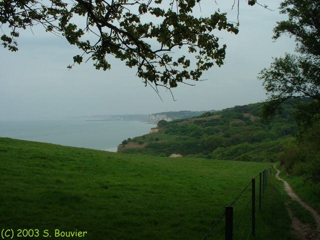Varengeville (Petit Ailly)
