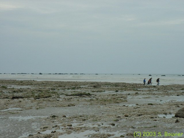 Pêcheurs à Pied