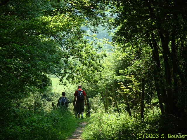 Chasse-Marée (Vertus)